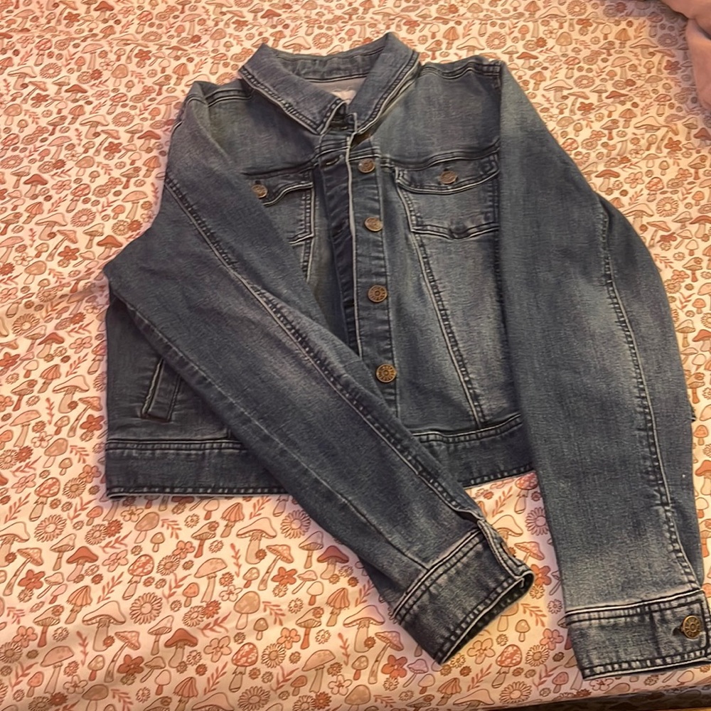 distressed cropped jean jacket